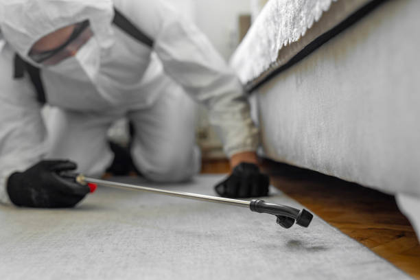 Professional Ant Control technician working in Hagaman, NY